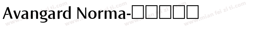 Avangard Norma字体转换
